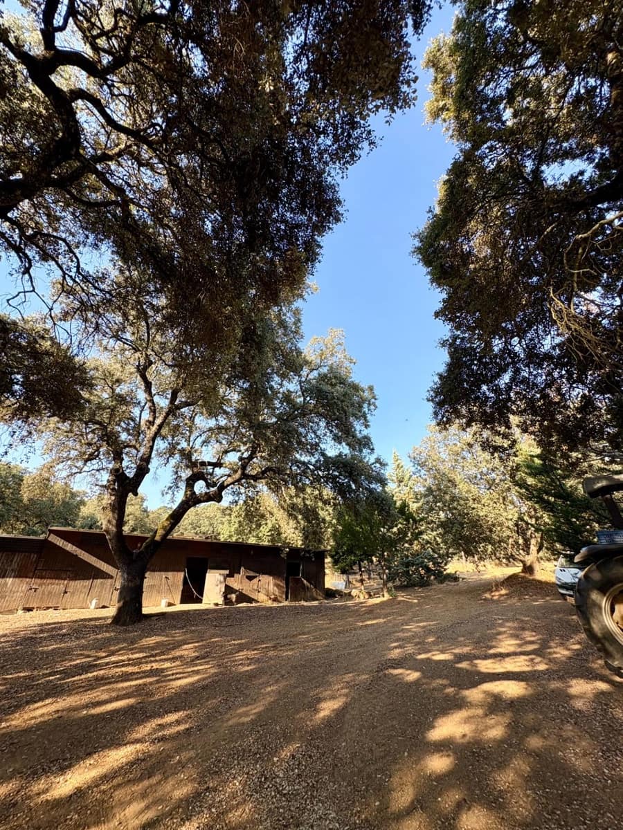 5 Zimmer Finca/Landgut zu verkaufen in Constantina mit Pool - 1.475.000 € (Ref: 9110350)