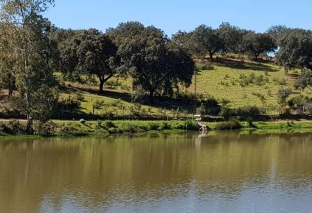 Finca/Herregård til salgs i Puebla de Guzmán - € 1 300 000 (Ref: 9110353)