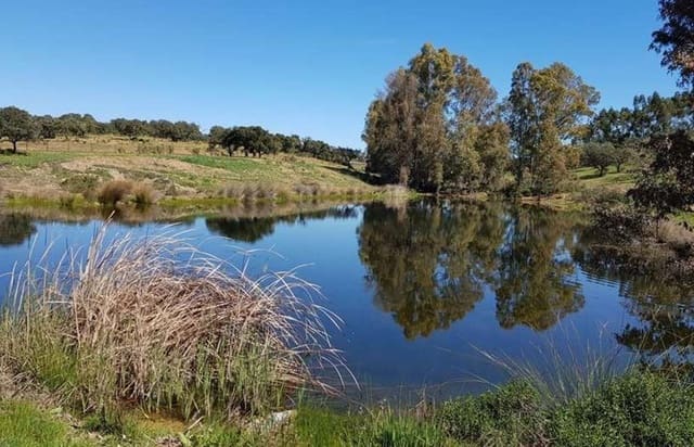 Finca/Herregård til salgs i Puebla de Guzmán - € 1 300 000 (Ref: 9110353)