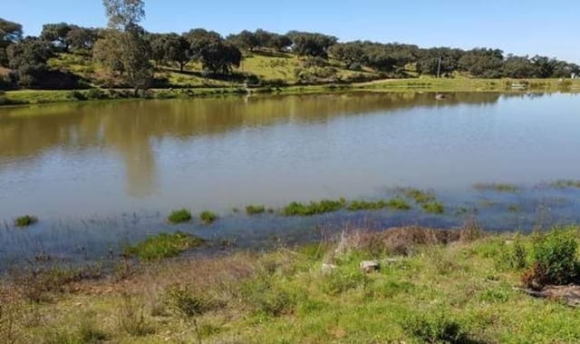 Finca/Landgut zu verkaufen in Puebla de Guzmán - 1.300.000 € (Ref: 9110353)