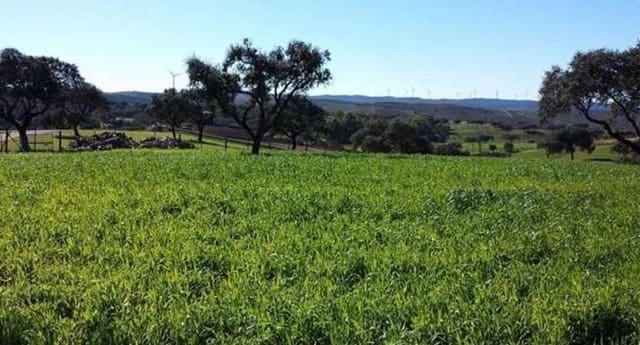 Finca/Landgut zu verkaufen in Puebla de Guzmán - 1.300.000 € (Ref: 9110353)