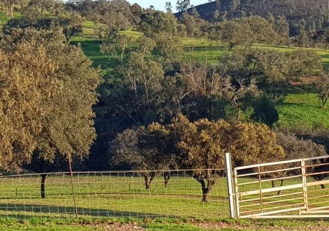 Finca/Herregård til salgs i Puebla de Guzmán - € 1 300 000 (Ref: 9110353)