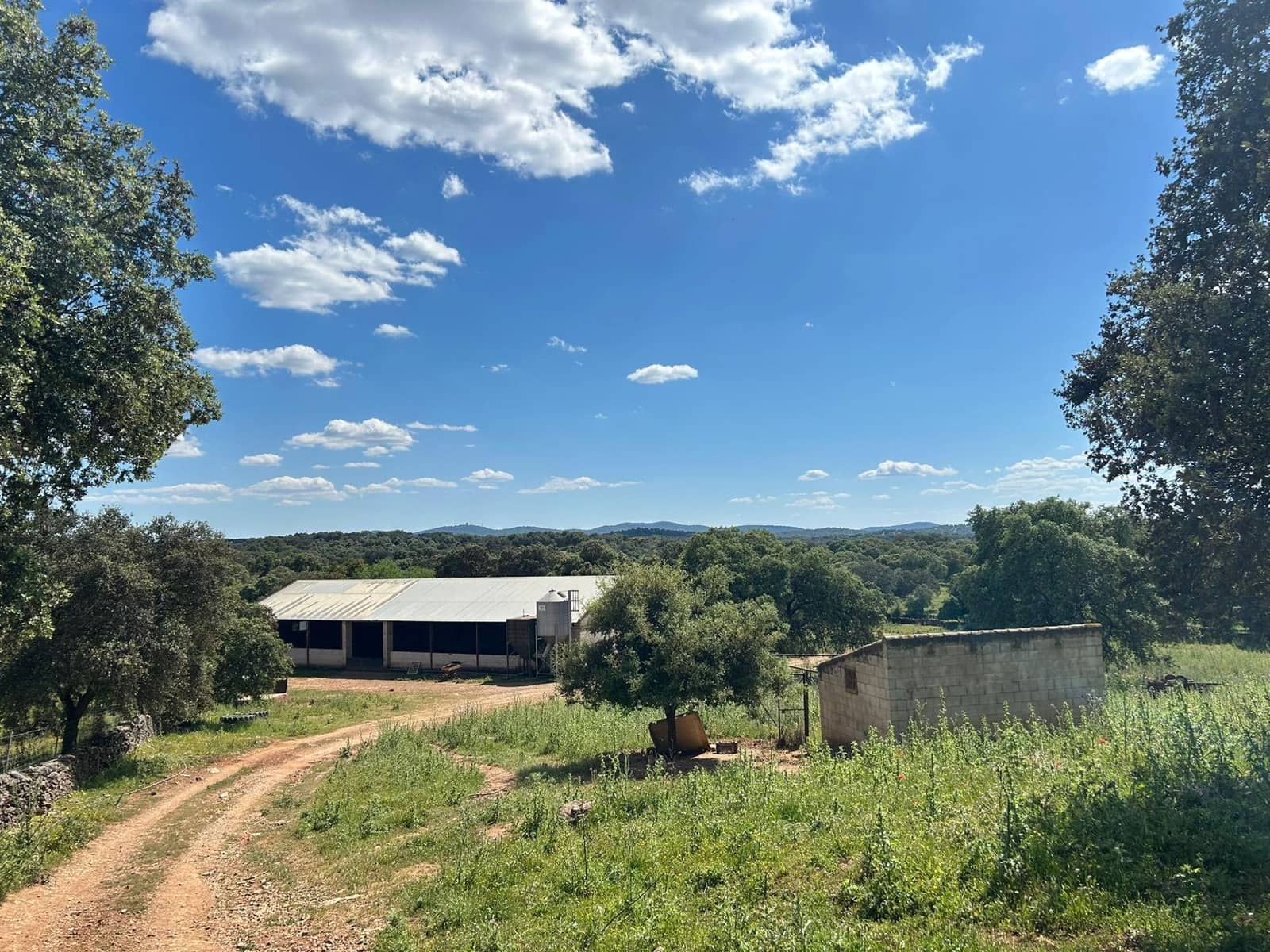 4 soveværelse Finca/Landehus til salg i Alanis med garage - € 950.000 (Ref: 9110354)