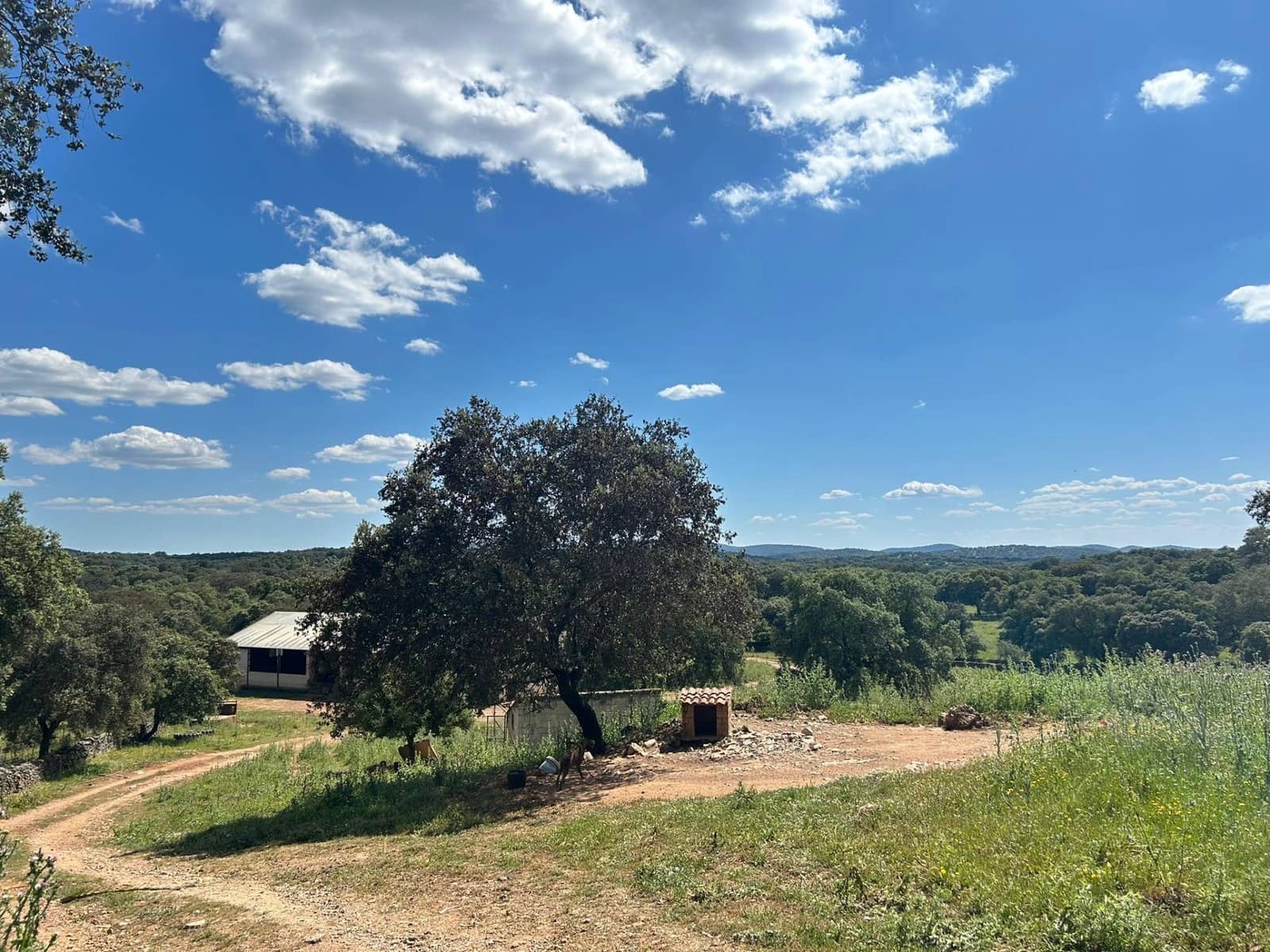 4 soveværelse Finca/Landehus til salg i Alanis med garage - € 950.000 (Ref: 9110354)