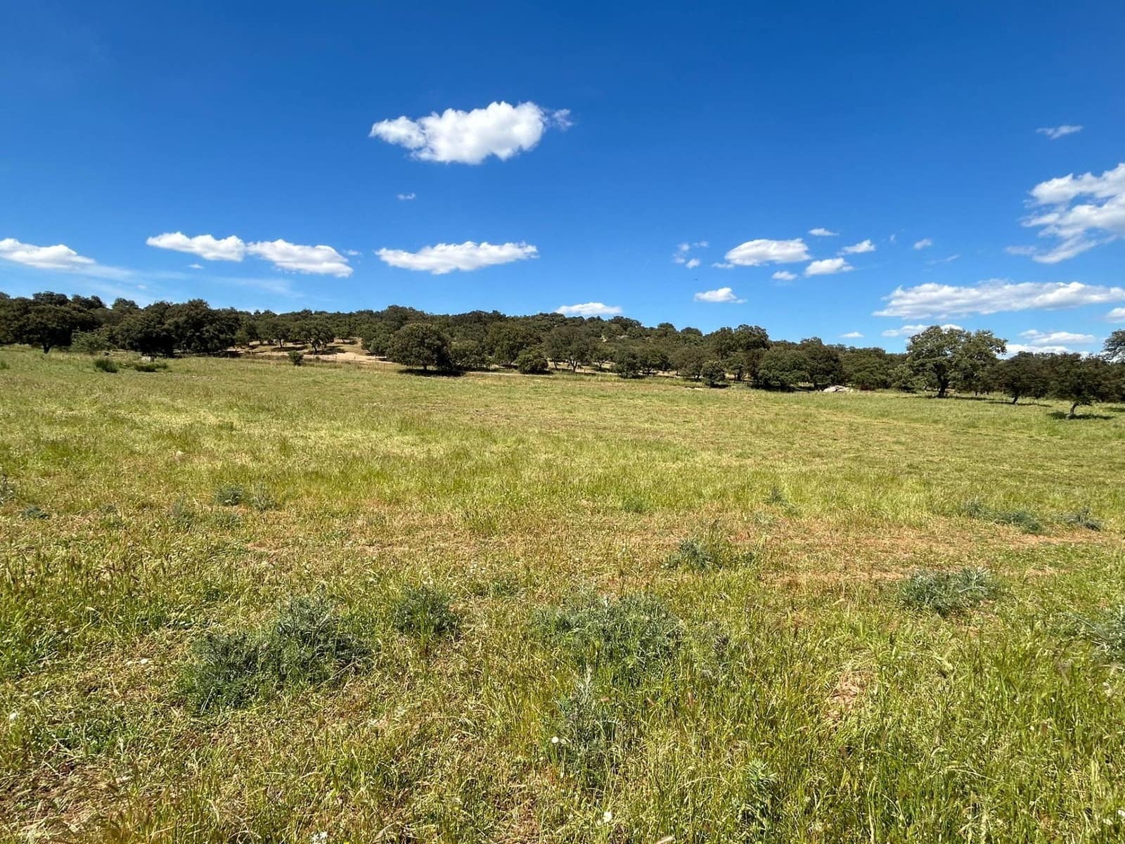 4 soveværelse Finca/Landehus til salg i Alanis med garage - € 950.000 (Ref: 9110354)