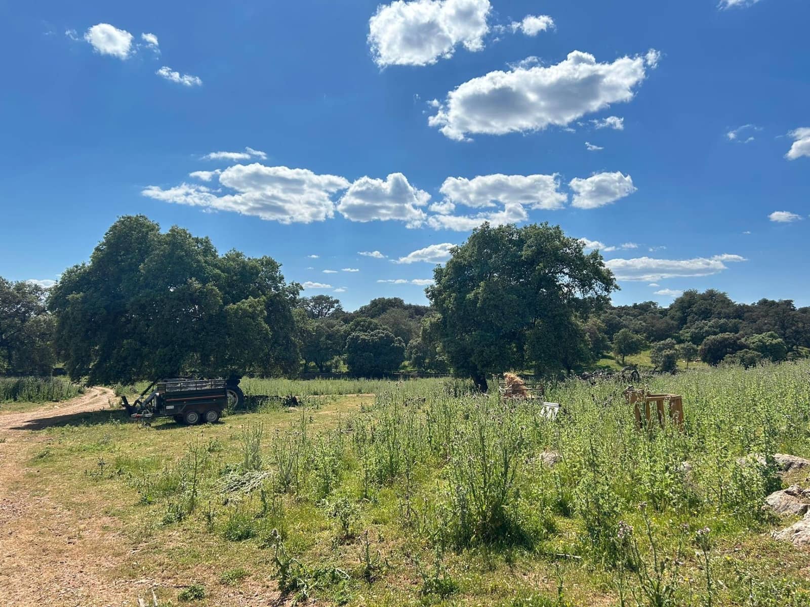 4 soveværelse Finca/Landehus til salg i Alanis med garage - € 950.000 (Ref: 9110354)