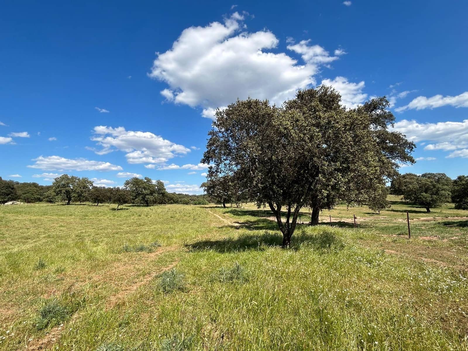 4 soveværelse Finca/Landehus til salg i Alanis med garage - € 950.000 (Ref: 9110354)