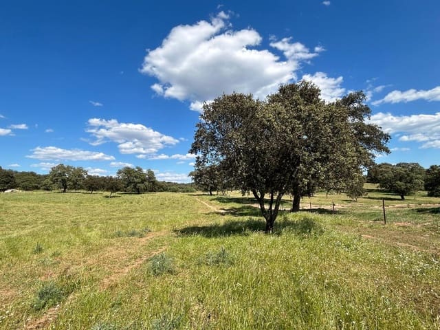 4 chambre Finca/Maison de Campagne à vendre à Alanís avec garage - 950 000 € (Ref: 9110354)