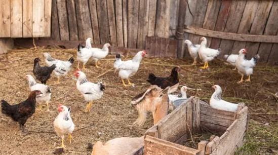 4 bedroom Finca/Country House for sale in Alanis with garage - € 950,000 (Ref: 9110354)