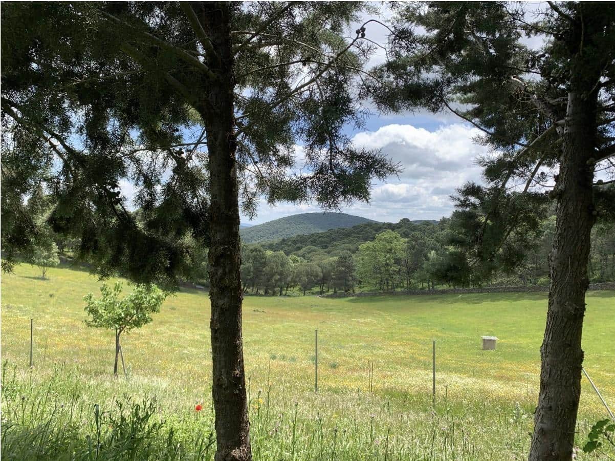 4 soveværelse Finca/Landehus til salg i Calera de Leon - € 480.000 (Ref: 9208379)