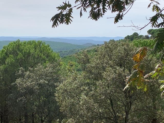 4 bedroom Finca/Country House for sale in Calera de León - € 480,000 (Ref: 9208379)