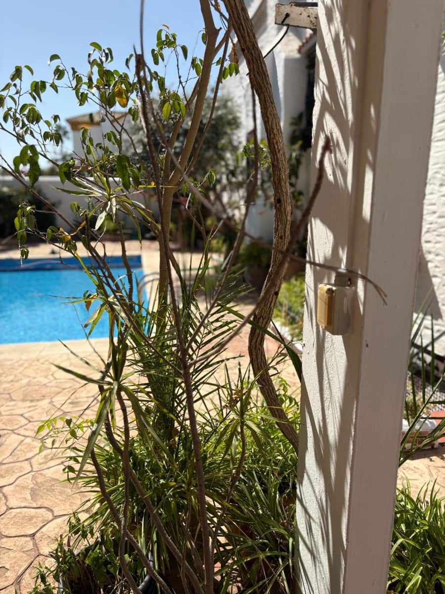 4 soverom Villa til salgs i Sanlucar de Barrameda med svømmebasseng garasje - € 700 000 (Ref: 9233022)