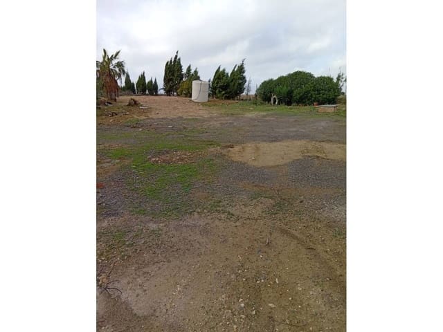 Undeveloped Land for sale in San Juan del Puerto - € 24,000 (Ref: 9781158)