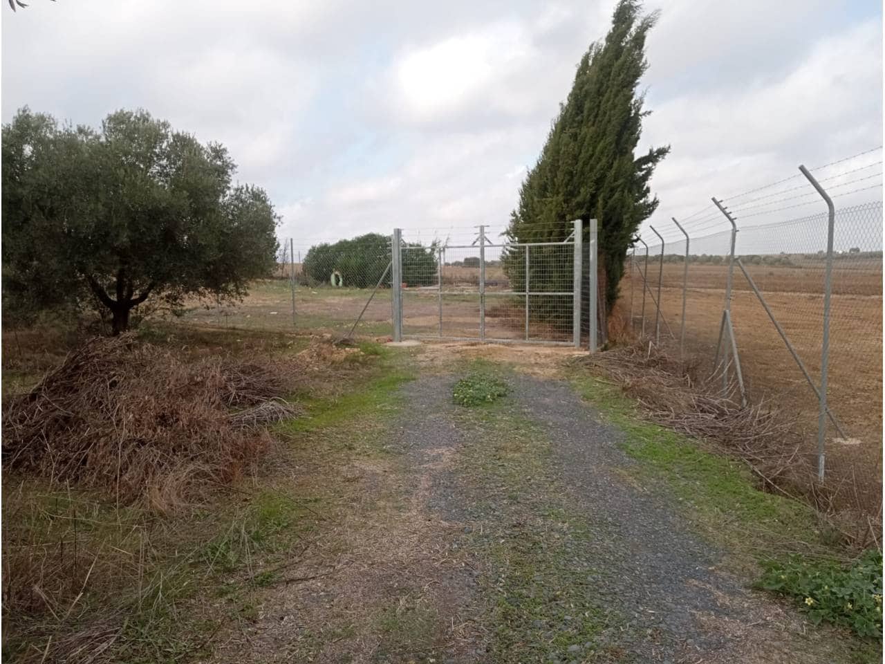 Undeveloped Land for sale in San Juan del Puerto - € 24,000 (Ref: 9781158)