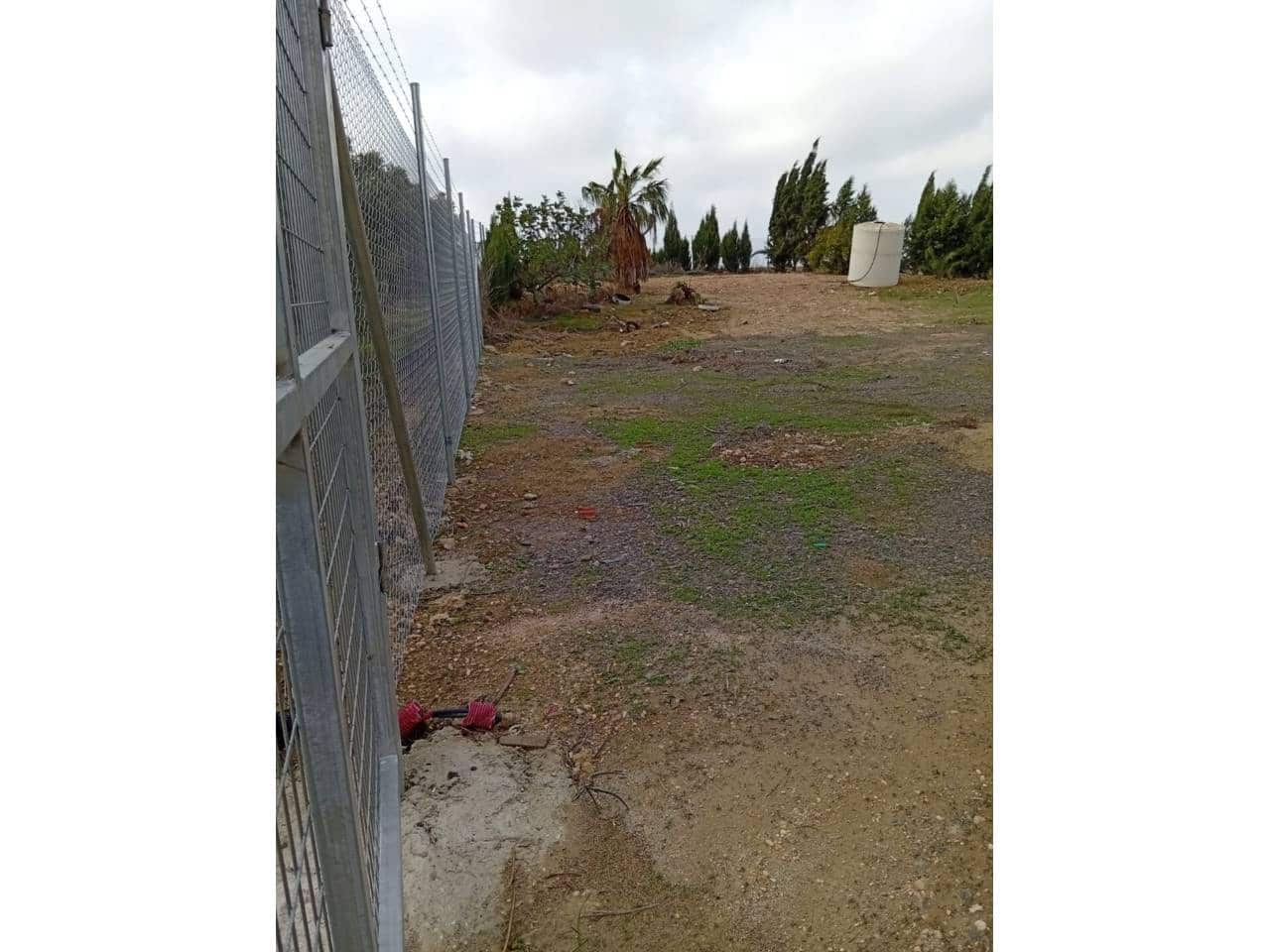 Undeveloped Land for sale in San Juan del Puerto - € 24,000 (Ref: 9781158)