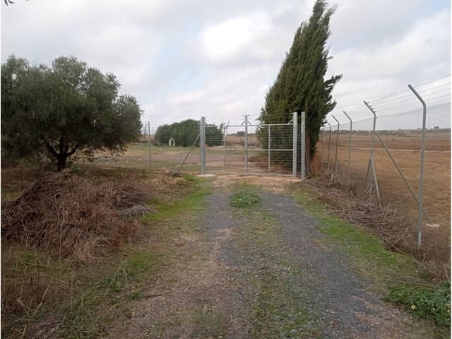 Undeveloped Land for sale in San Juan del Puerto - € 24,000 (Ref: 9781158)