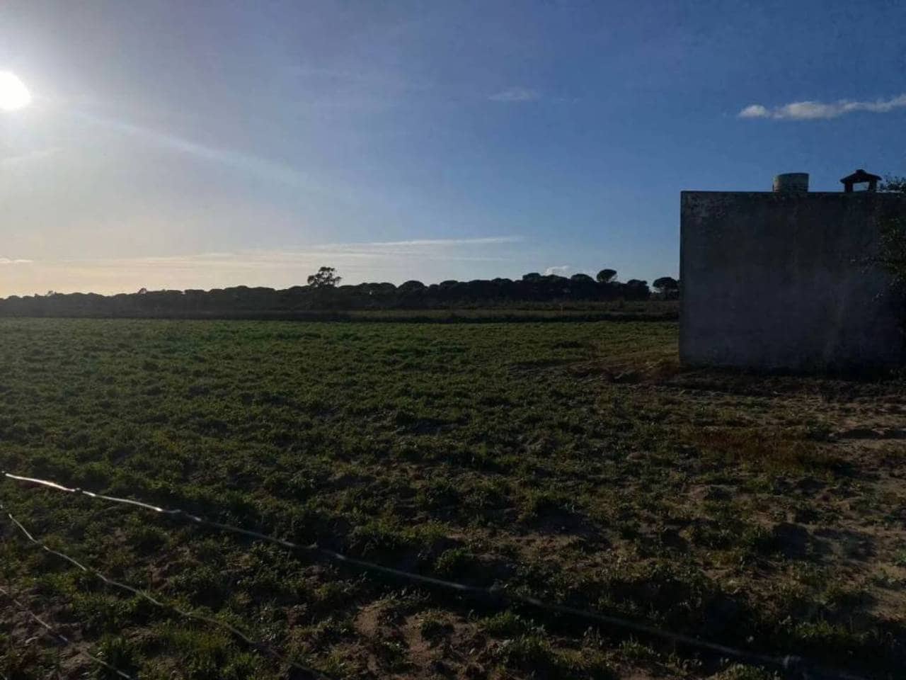 Undeveloped Land for sale in Rociana del Condado - € 45,000 (Ref: 9781164)