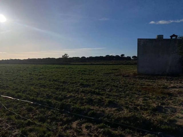 Undeveloped Land for sale in Rociana del Condado - € 45,000 (Ref: 9781164)