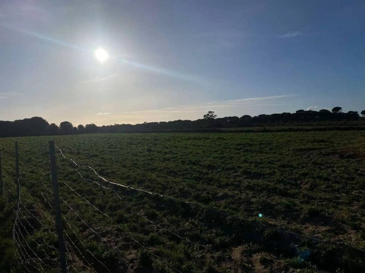 Undeveloped Land for sale in Rociana del Condado - € 45,000 (Ref: 9781164)