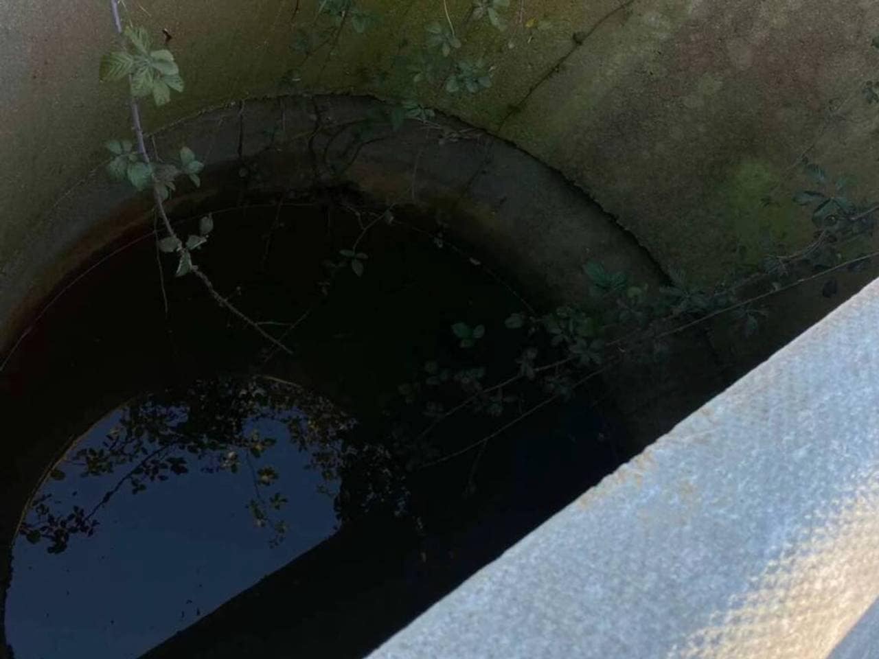 Undeveloped Land for sale in Rociana del Condado - € 45,000 (Ref: 9781164)