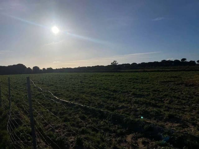 Undeveloped Land for sale in Rociana del Condado - € 45,000 (Ref: 9781164)