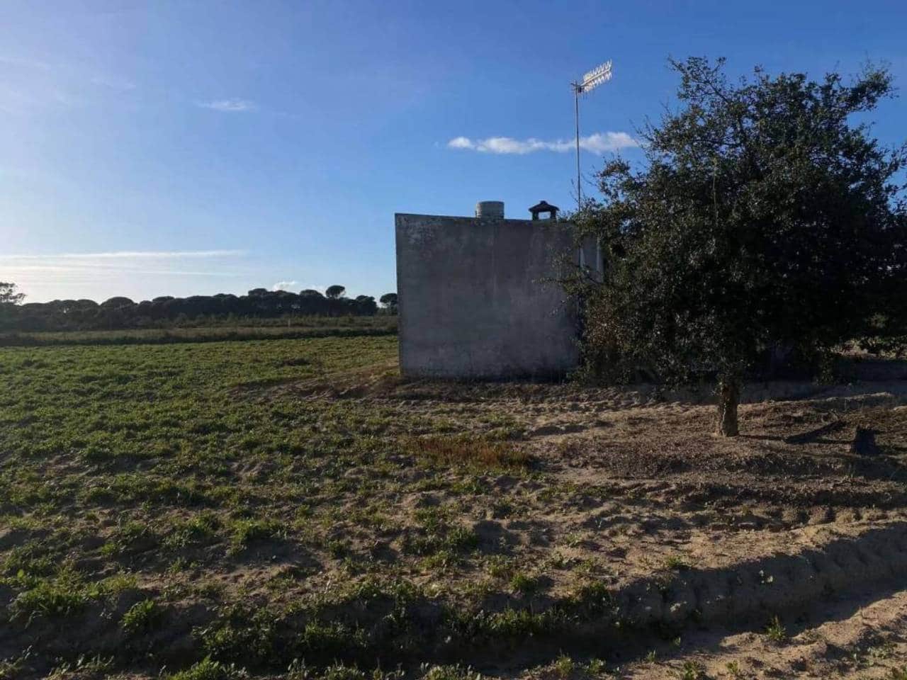 Undeveloped Land for sale in Rociana del Condado - € 45,000 (Ref: 9781164)