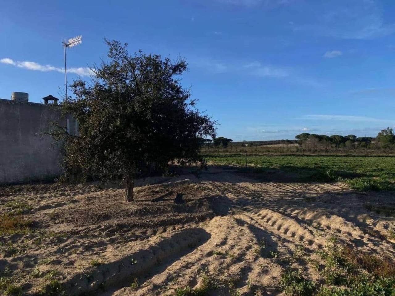 Undeveloped Land for sale in Rociana del Condado - € 45,000 (Ref: 9781164)