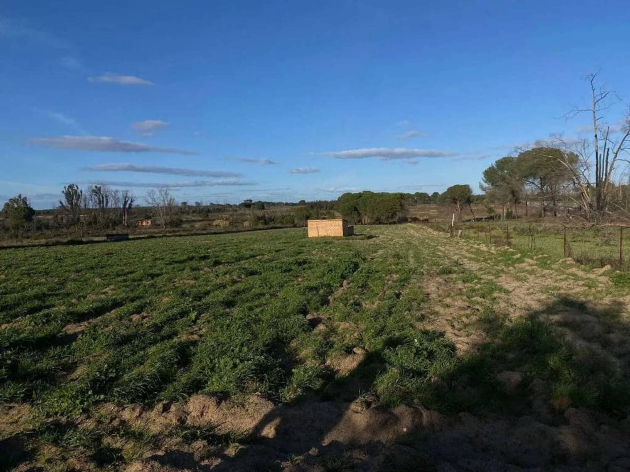 Undeveloped Land for sale in Rociana del Condado - € 45,000 (Ref: 9781164)