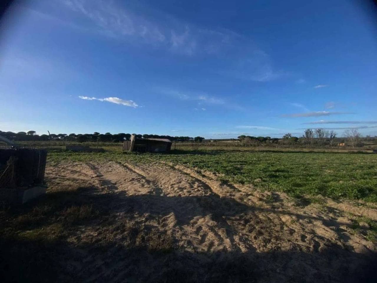 Undeveloped Land for sale in Rociana del Condado - € 45,000 (Ref: 9781164)