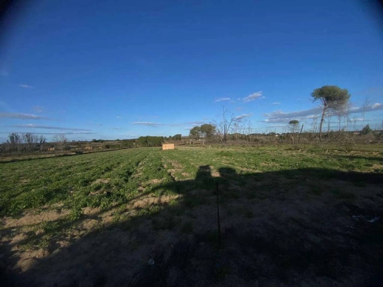 Undeveloped Land for sale in Rociana del Condado - € 45,000 (Ref: 9781164)