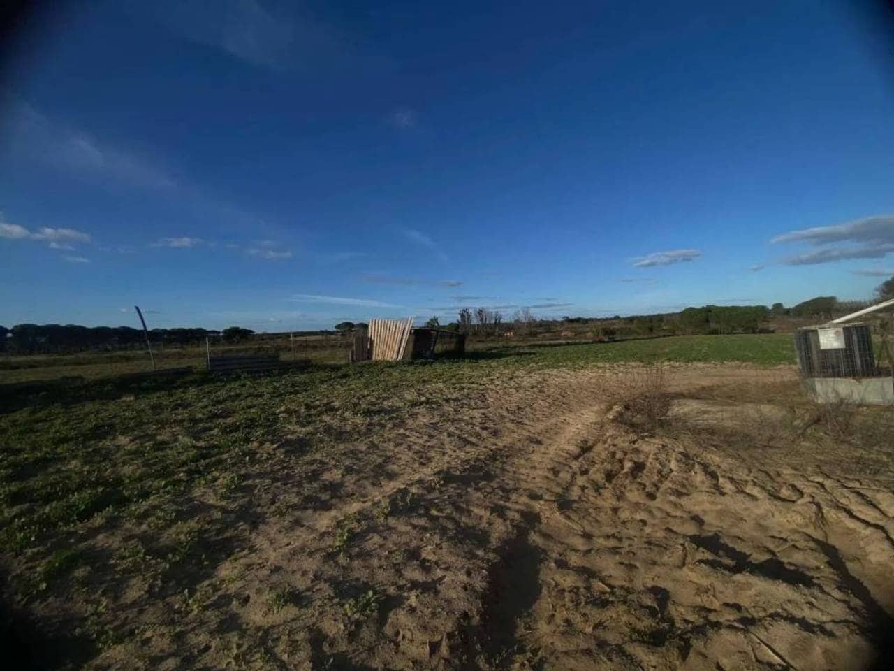 Undeveloped Land for sale in Rociana del Condado - € 45,000 (Ref: 9781164)