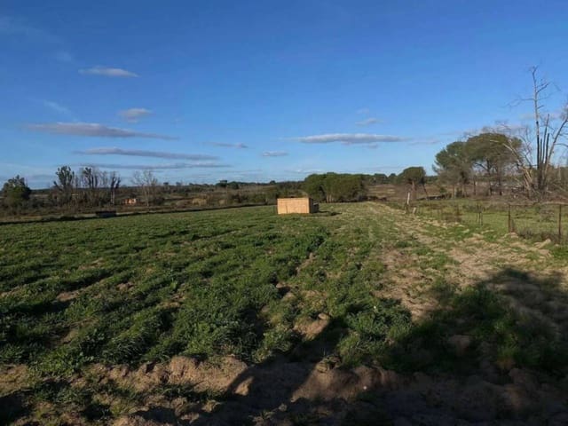 Undeveloped Land for sale in Rociana del Condado - € 45,000 (Ref: 9781164)