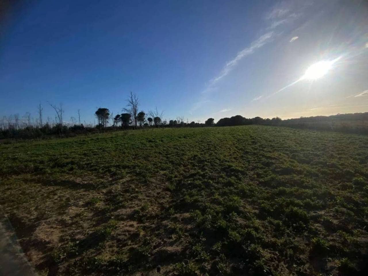 Undeveloped Land for sale in Rociana del Condado - € 45,000 (Ref: 9781164)
