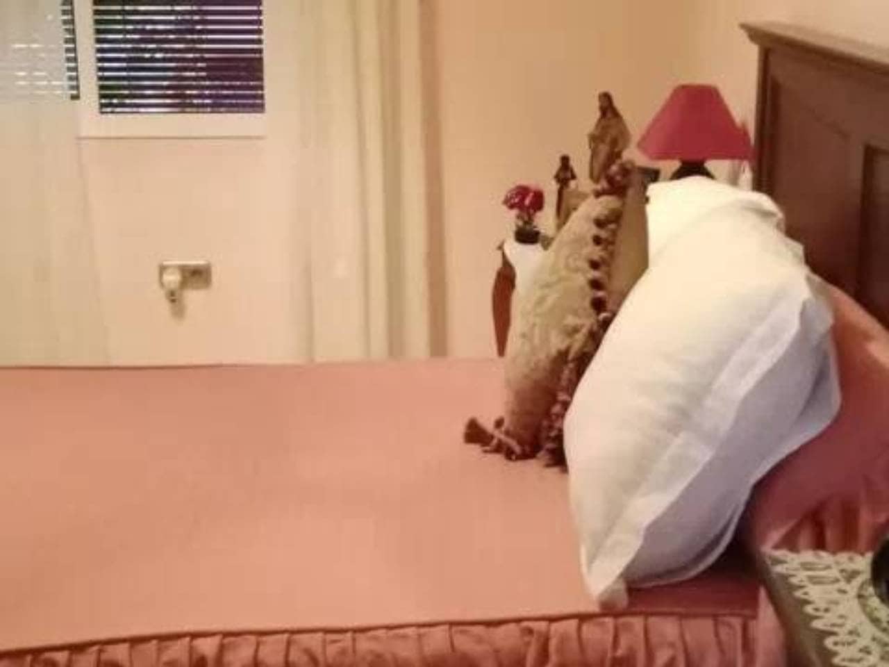 4 soveværelse Villa til salg i Rociana del Condado med swimmingpool - € 271.000 (Ref: 9781172)