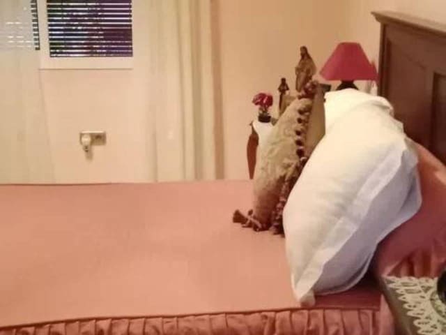 4 soveværelse Villa til salg i Rociana del Condado med swimmingpool - € 271.000 (Ref: 9781172)