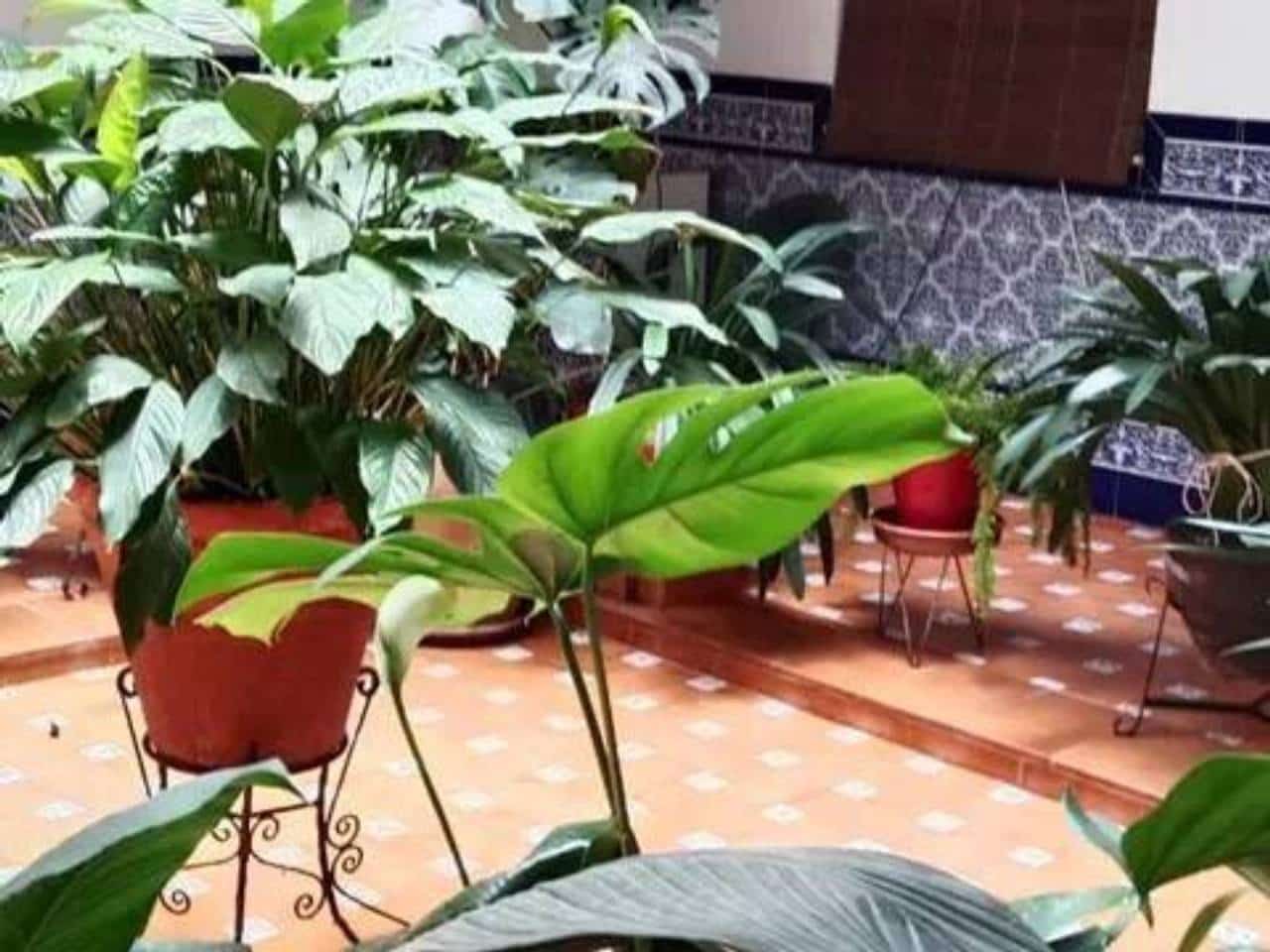 4 soveværelse Villa til salg i Rociana del Condado med swimmingpool - € 271.000 (Ref: 9781172)