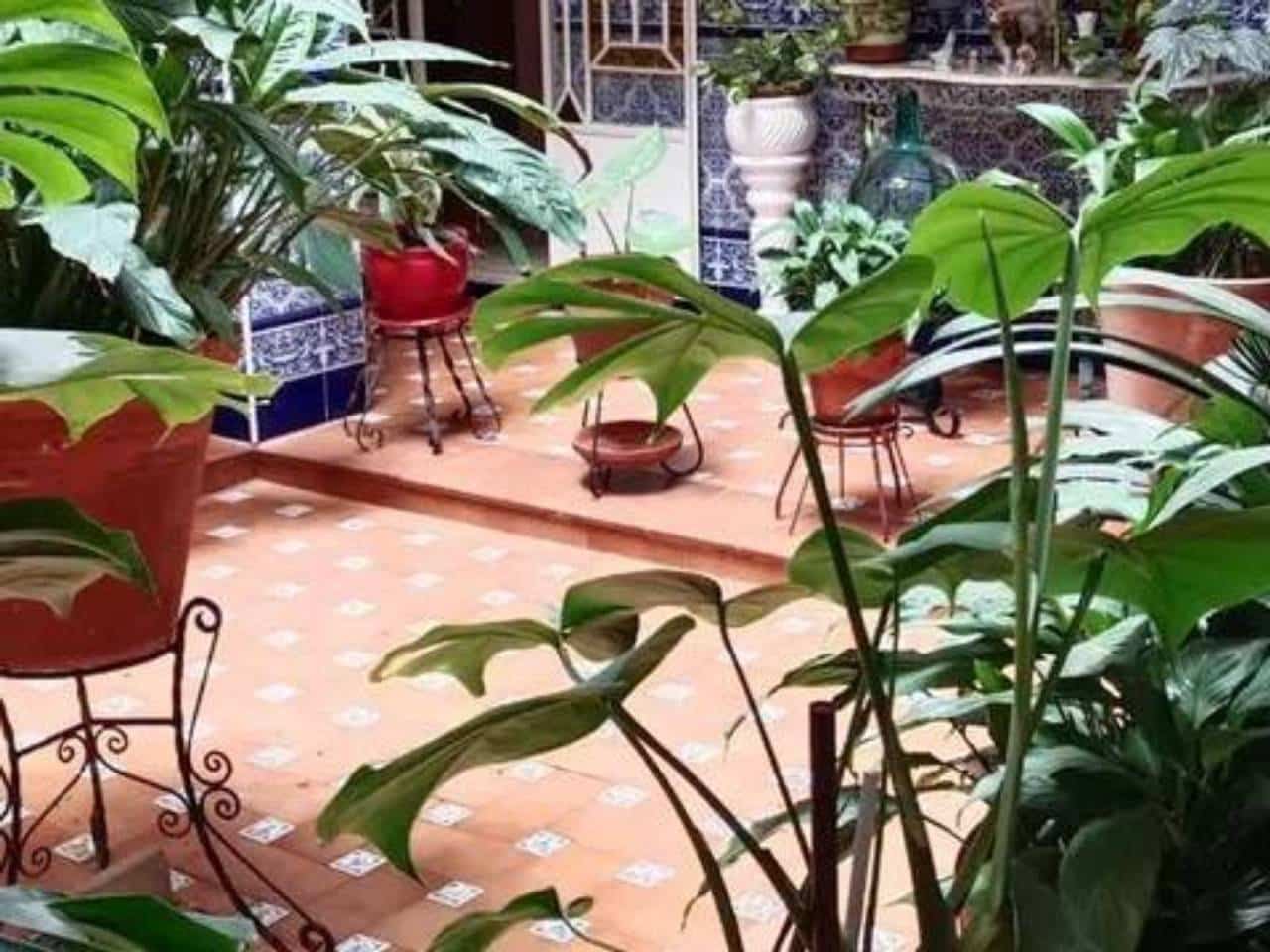 4 soveværelse Villa til salg i Rociana del Condado med swimmingpool - € 271.000 (Ref: 9781172)