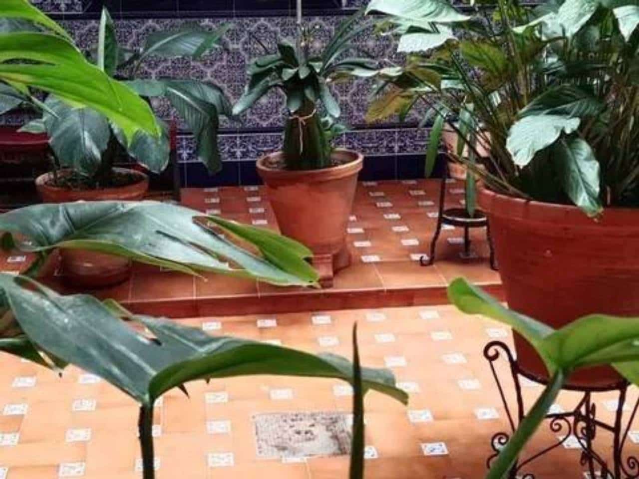 4 soveværelse Villa til salg i Rociana del Condado med swimmingpool - € 271.000 (Ref: 9781172)