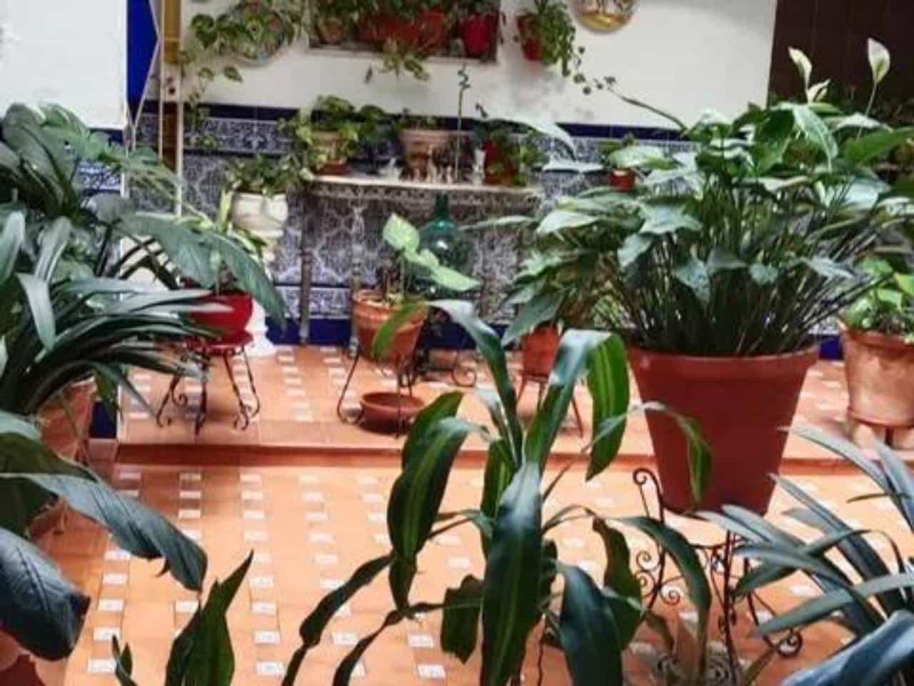 4 soveværelse Villa til salg i Rociana del Condado med swimmingpool - € 271.000 (Ref: 9781172)