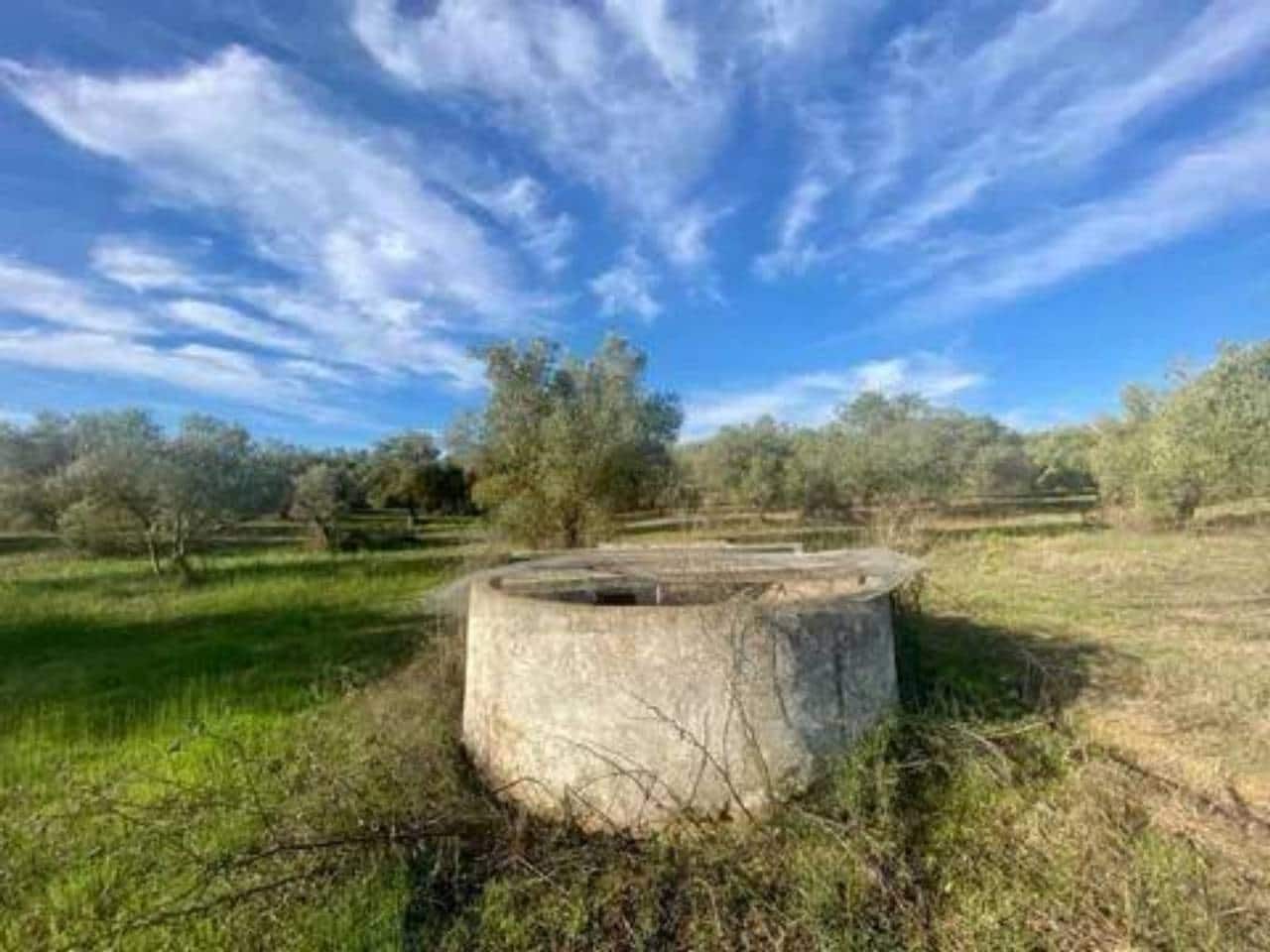 Undeveloped Land for sale in Rociana del Condado - € 75,000 (Ref: 9781182)