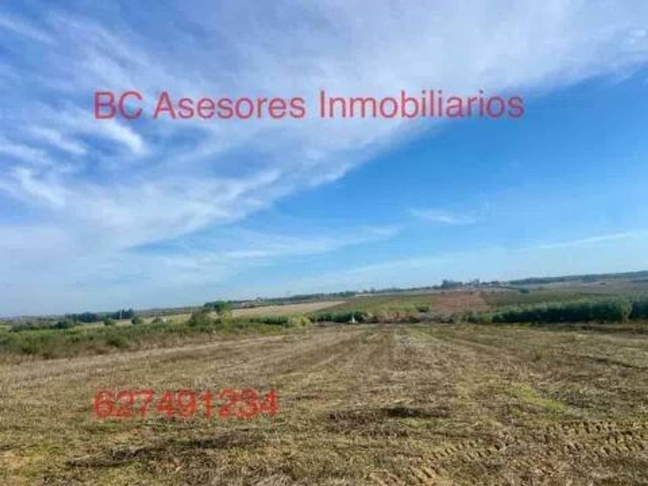 Undeveloped Land for sale in Rociana del Condado - € 75,000 (Ref: 9781182)