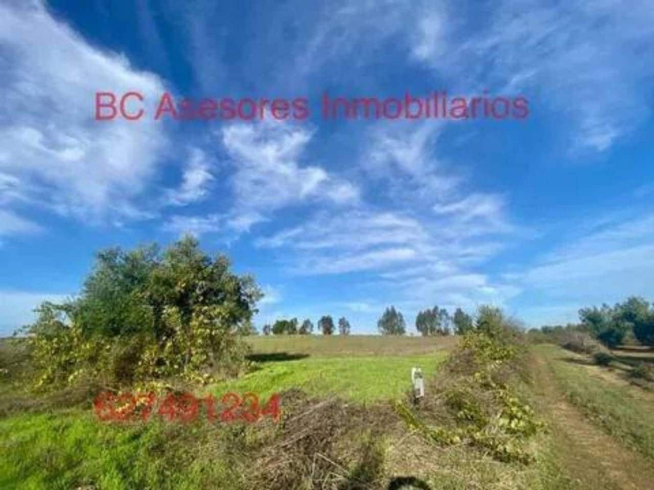 Undeveloped Land for sale in Rociana del Condado - € 75,000 (Ref: 9781182)