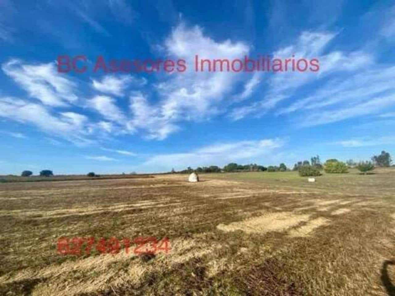 Undeveloped Land for sale in Rociana del Condado - € 75,000 (Ref: 9781182)