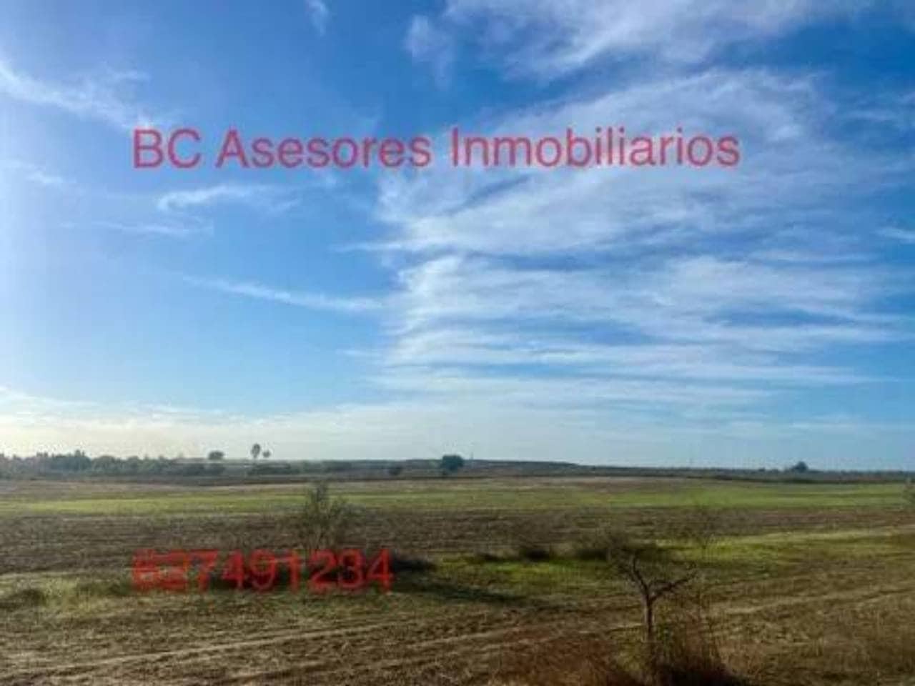 Undeveloped Land for sale in Rociana del Condado - € 75,000 (Ref: 9781182)