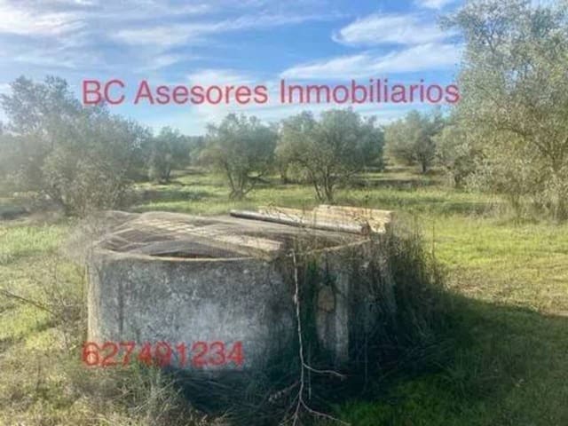 Undeveloped Land for sale in Rociana del Condado - € 75,000 (Ref: 9781182)