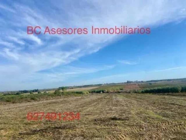 Undeveloped Land for sale in Rociana del Condado - € 75,000 (Ref: 9781182)