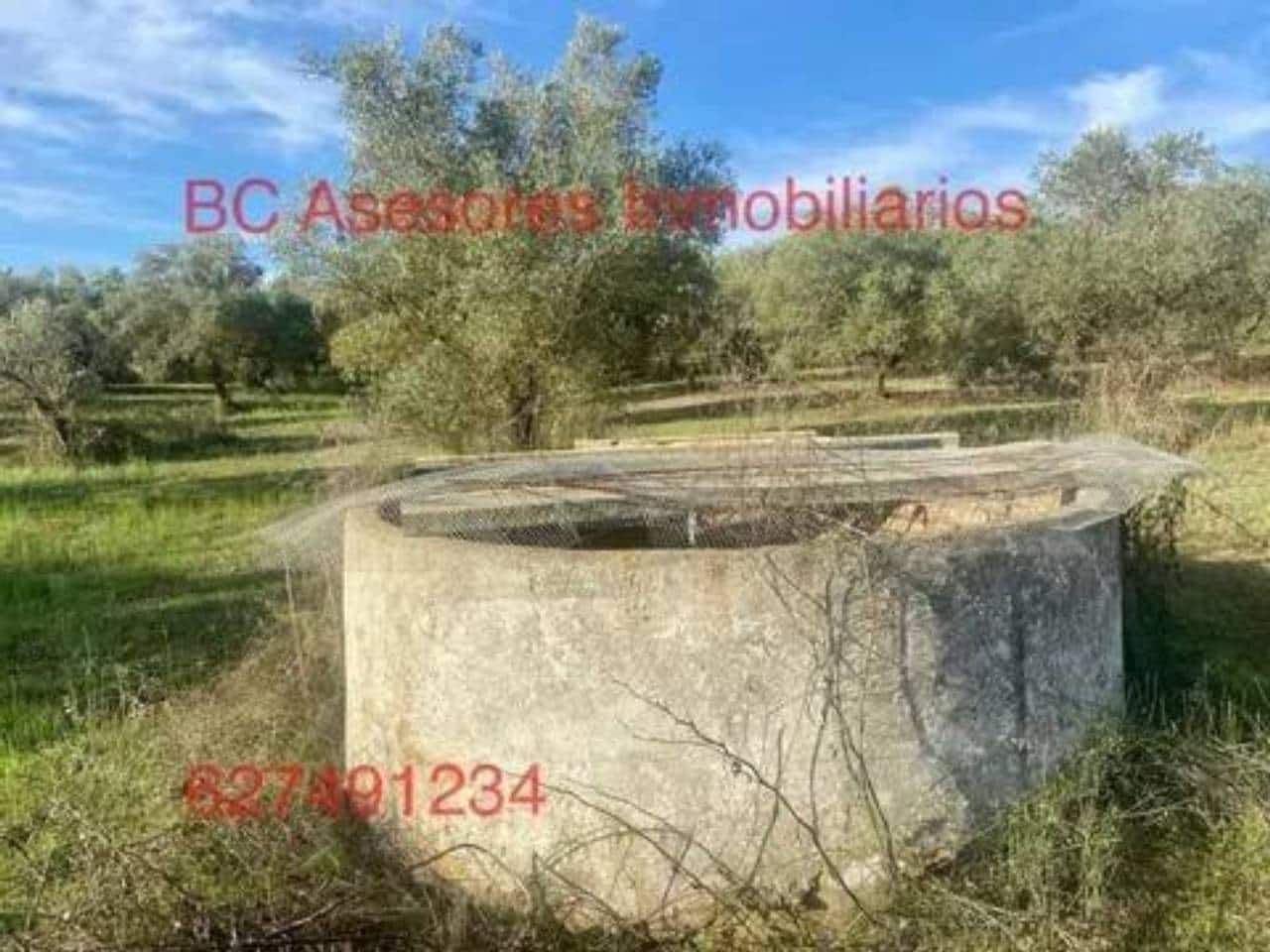 Undeveloped Land for sale in Rociana del Condado - € 75,000 (Ref: 9781182)