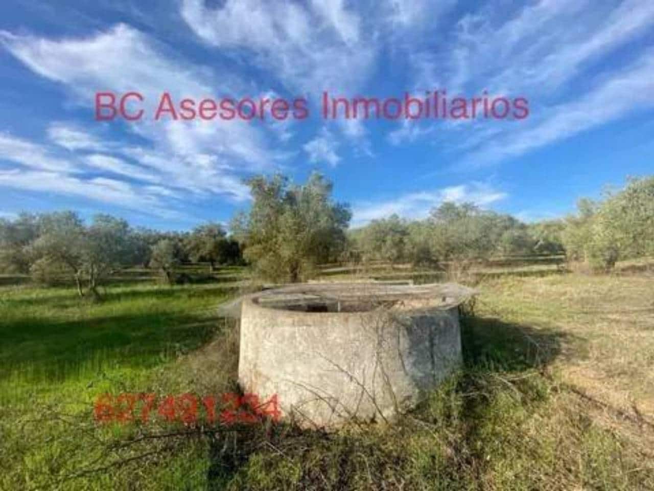 Undeveloped Land for sale in Rociana del Condado - € 75,000 (Ref: 9781182)