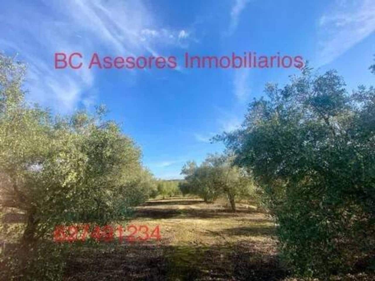 Undeveloped Land for sale in Rociana del Condado - € 75,000 (Ref: 9781182)