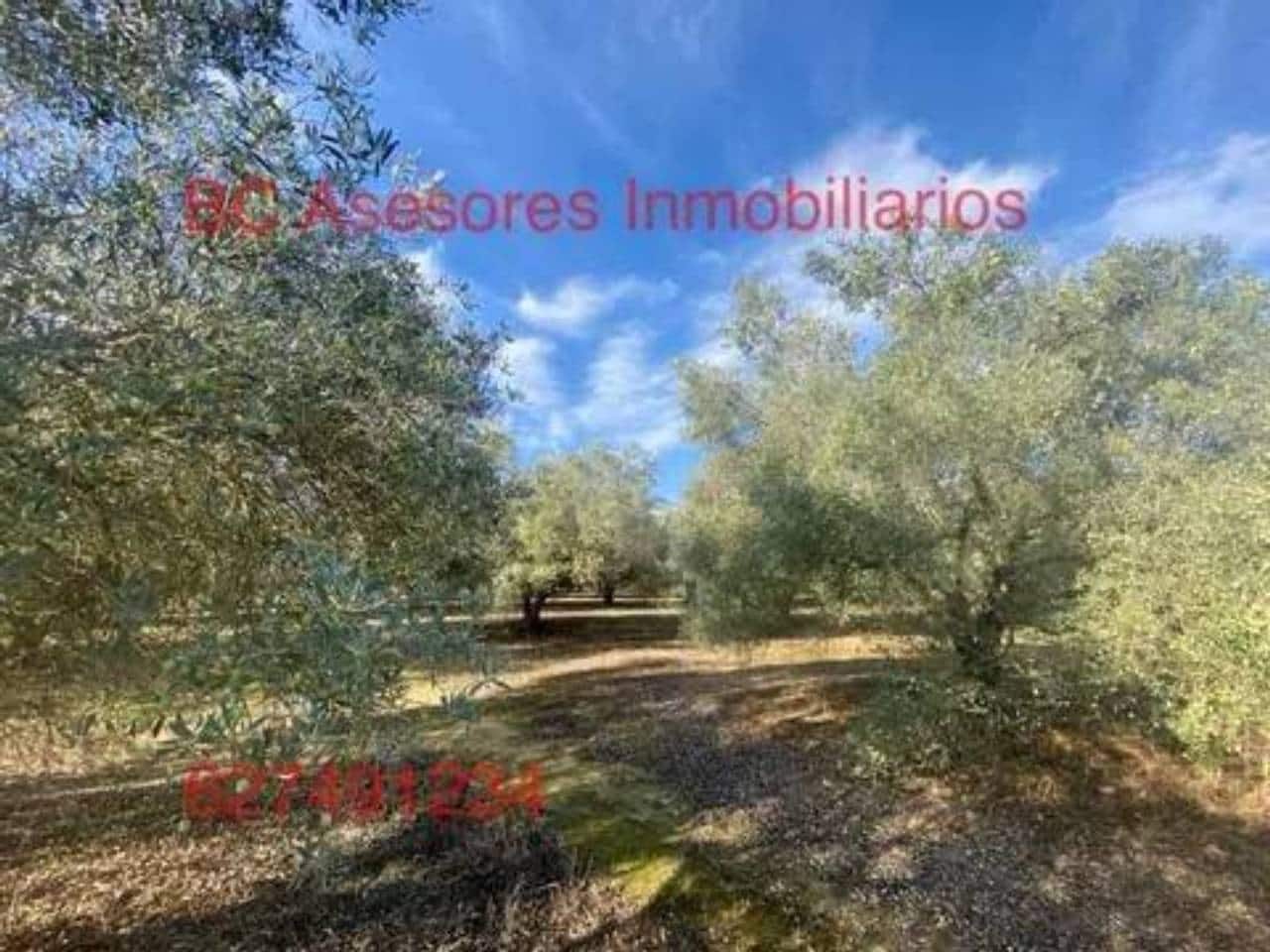 Undeveloped Land for sale in Rociana del Condado - € 75,000 (Ref: 9781182)